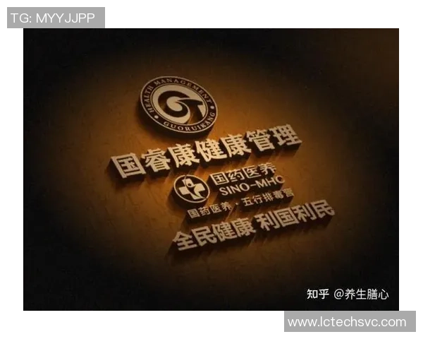 深圳排球队的蜕变之路：从传统强队到现代化竞技新标杆